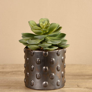 Greenery-Potted Succulent-Bloomr