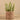 Greenery-Potted Succulent (Discontinued)-Bloomr