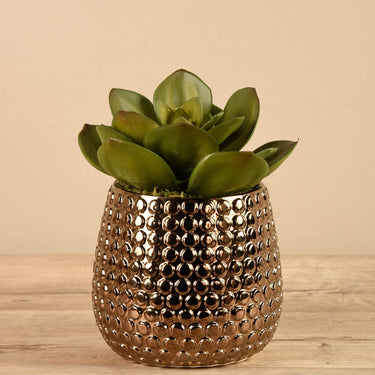 Greenery-Potted Succulent-Bloomr