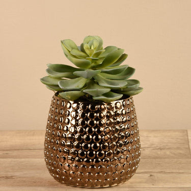 Greenery-Artificial Potted Succulent-Bloomr
