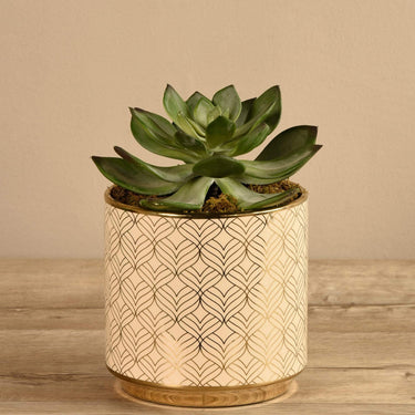 Greenery-Artificial Potted Succulent-Bloomr