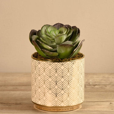 Greenery-Artificial Potted Succulent-Bloomr