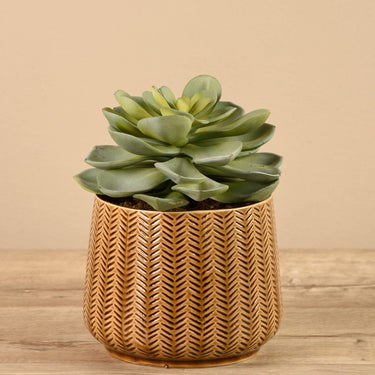 Greenery-Artificial Potted Succulent-Bloomr