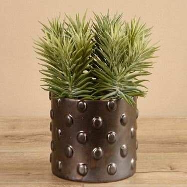 Greenery-Potted Succulents-Bloomr