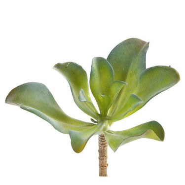 Greenery-Single Stem Succulent-Bloomr