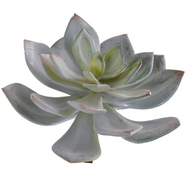 Greenery-Single Stem Succulent-Bloomr