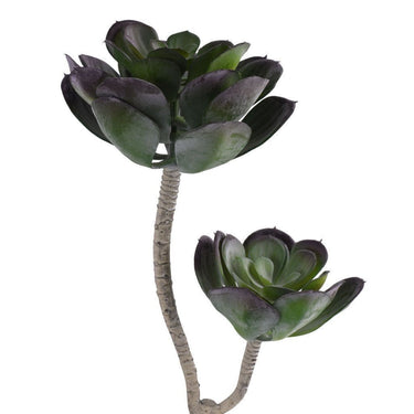 Greenery-Single Stem Succulent-Bloomr