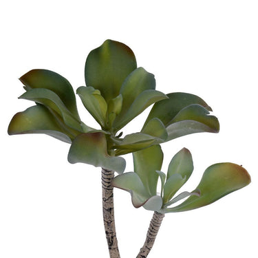 Greenery-Single Stem Succulent-Bloomr