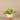 Greenery-Artificial Potted Vanilla Plant-Bloomr