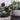 Greenery-Rustic Succulent Arrangement-Bloomr