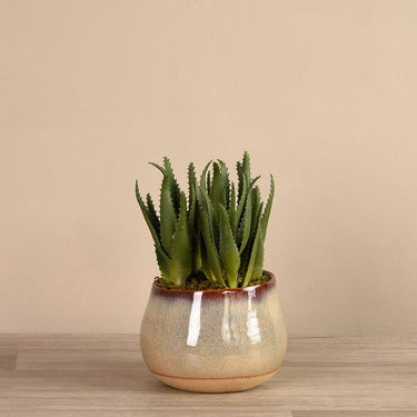 Greenery-Artificial Santa Fe Aloe Arrangement-Bloomr