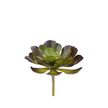Greenery-Succulent-Bloomr