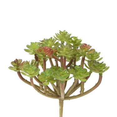 Greenery-Succulent-Bloomr