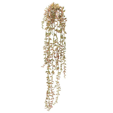 Greenery-Succulent-Bloomr