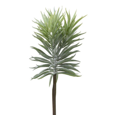 Greenery-Succulent-Bloomr