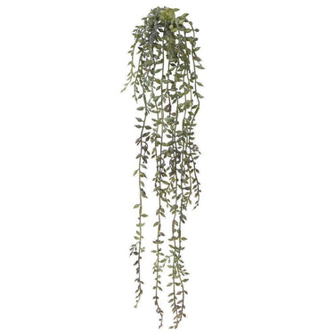 Greenery-Succulent-Bloomr