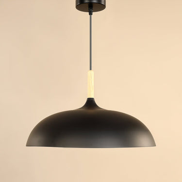 Lamps-Pendant Lamps-Bloomr