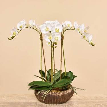Orchid Arrangement-Artificial Orchid Arrangement-Bloomr