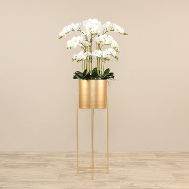 Orchid Arrangement-Artificial Orchid Arrangement-Bloomr