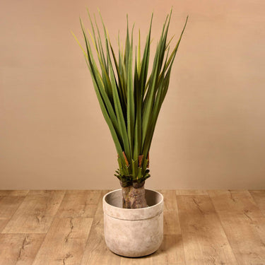 Plants-Artificial Pandanus 140cm-Bloomr