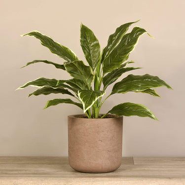 Plants-Artificial Potted Hosta Leaf-Bloomr