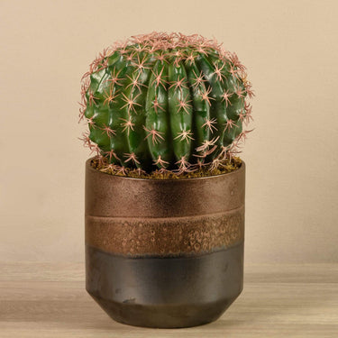 Plants-Artificial Potted Round Cactus-Bloomr