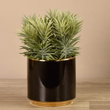 Plants-Artificial Potted Sprout Succulent-Bloomr