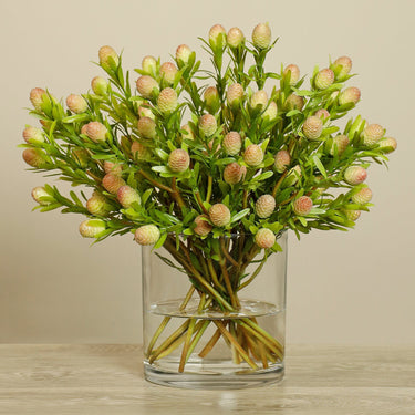 Plants-Artificial Protea Arrangement in Glass Vase-Bloomr