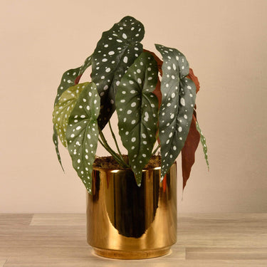 Plants-Artificial Begonia Maculata in Gold Pot-Bloomr