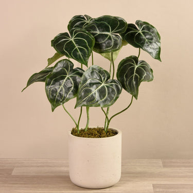 Plants-Artificial Anthurium Plant in Cement Pot-Bloomr