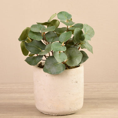 Plants-Artificial Potted Eucalyptus-Bloomr