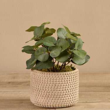 Plants-Artificial Eucalyptus In Cement Pot-Bloomr