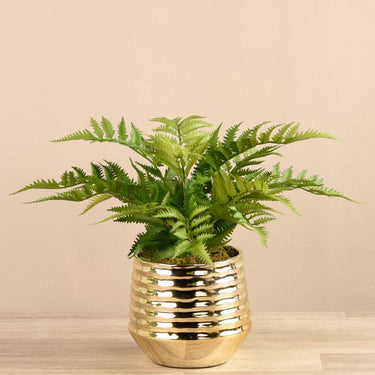 Plants-Artificial Fern in Gold Vase-Bloomr