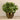 Plants-Artificial Watercress in Metal Vase-Bloomr