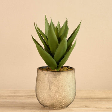 Plants-Artificial Potted Agave-Bloomr