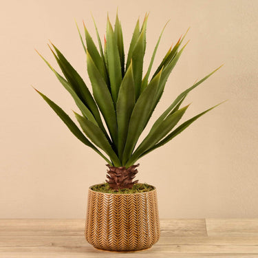 Plants-Artificial Potted Agave-Bloomr