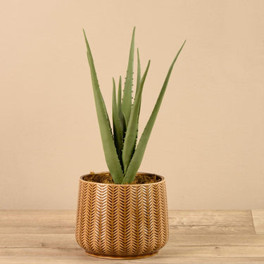 Plants-Artificial Potted Aloe-Bloomr