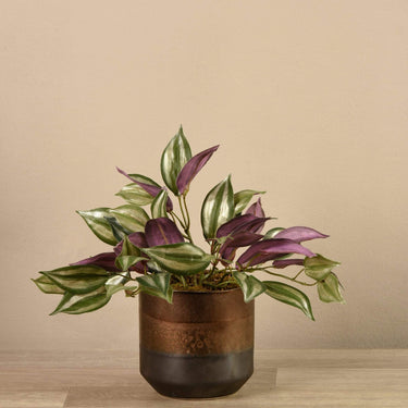 Plants-Artificial Potted Dark Vanilla Leaf Plant-Bloomr