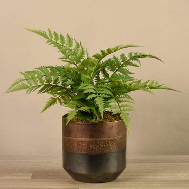 Plants-Artificial Potted Fern-Bloomr