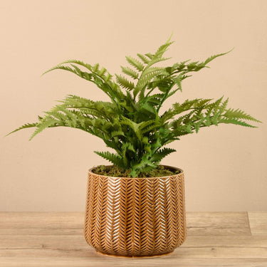 Plants-Artificial Potted Fern-Bloomr