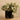 Plants-Artificial Potted Fittonia Discontinued-Bloomr