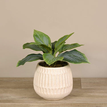 Plants-Artificial Potted Hosta Leaf-Bloomr
