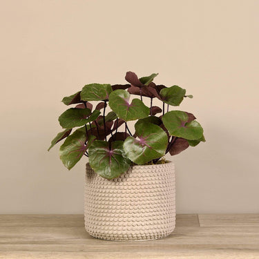 Plants-Artificial Potted Ligularia-Bloomr