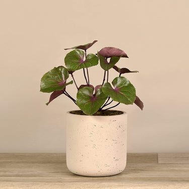 Plants-Artificial Potted Ligularia-Bloomr