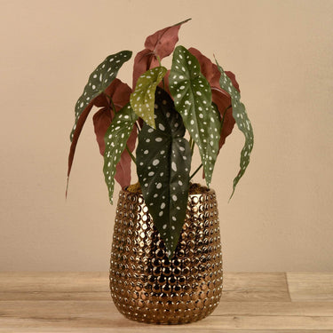 Plants-Artificial Potted Begonia Maculata-Bloomr