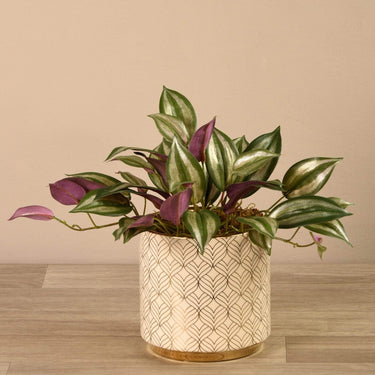 Plants-Artificial Potted Dark Vanilla Leaf Plant-Bloomr