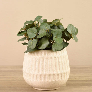Plants-Artificial Potted Eucalyptus-Bloomr