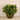 Plants-Artificial Watercress in Metal Vase-Bloomr