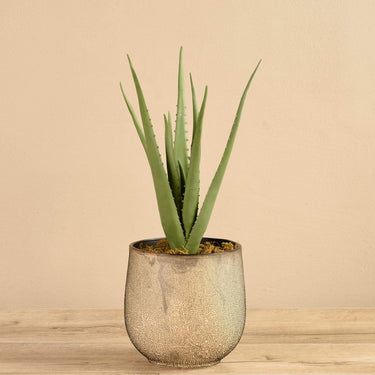 Plants-Artificial Potted Aloe-Bloomr