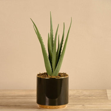 Plants-Artificial Potted Aloe-Bloomr